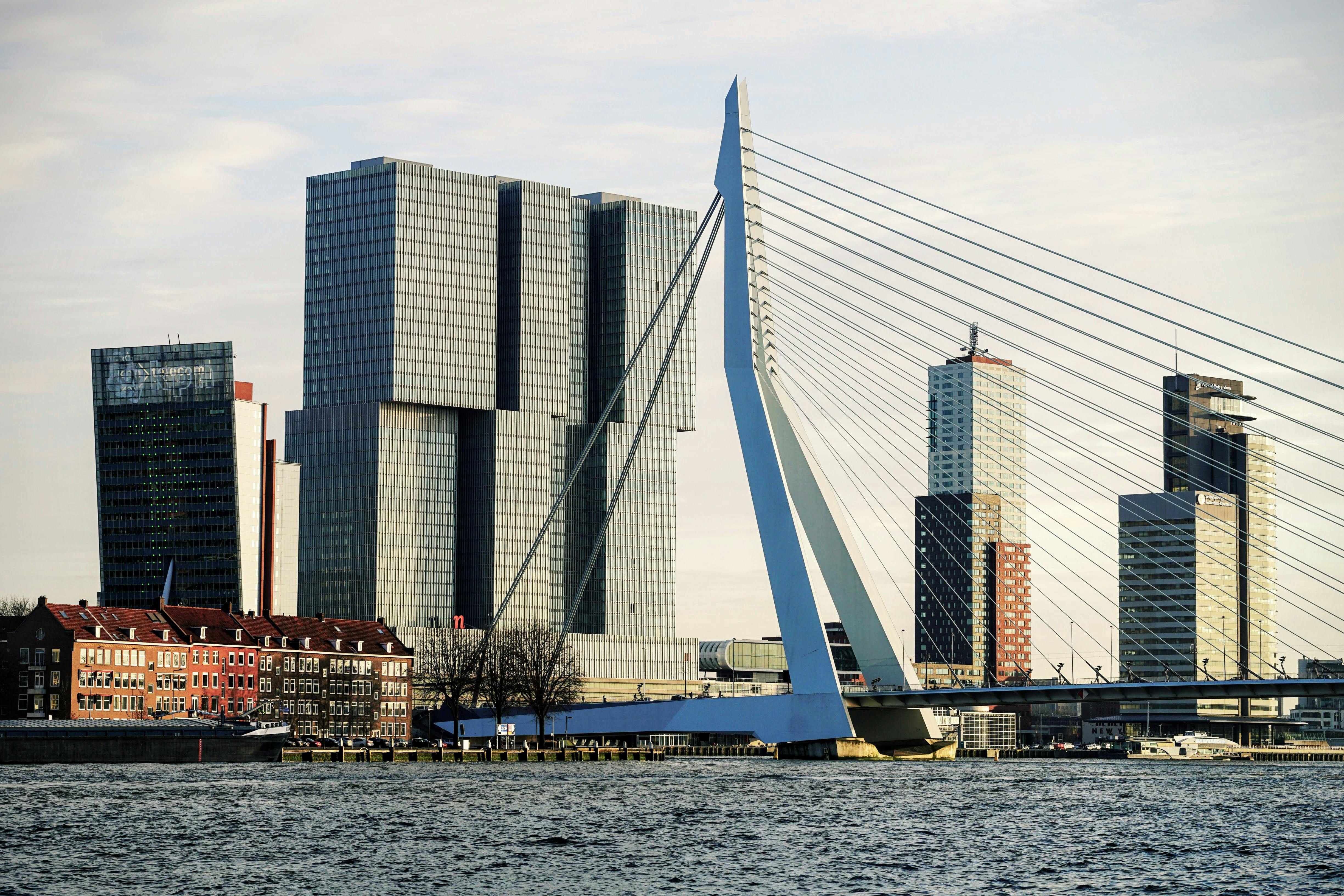 Rotterdam skyline met Erasmusbrug — herkenbaar stadsgezicht voor examenkandidaten in Rotterdam
